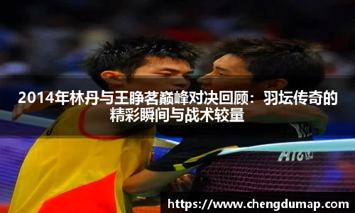2014年林丹与王睁茗巅峰对决回顾：羽坛传奇的精彩瞬间与战术较量