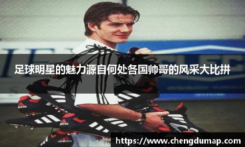 足球明星的魅力源自何处各国帅哥的风采大比拼