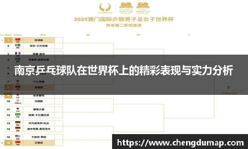 南京乒乓球队在世界杯上的精彩表现与实力分析